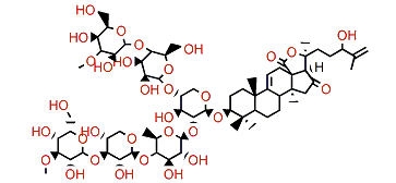 Psolusoside C1